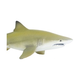 Лимонная акула