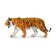 Амурский тигр, XL