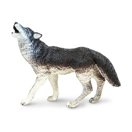 Обыкновенный серый волк