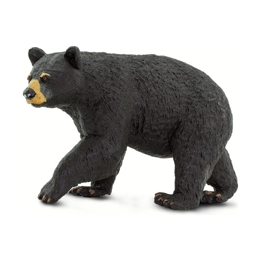 Медведь Барибал