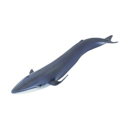 Синий кит XL