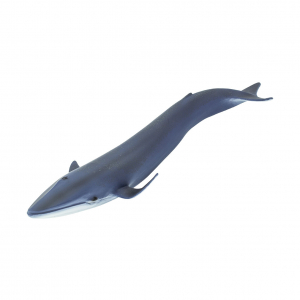 Синий кит XL