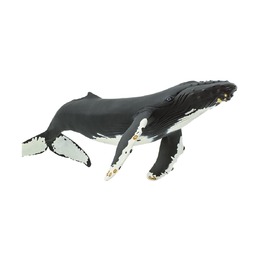 Горбатый кит XL