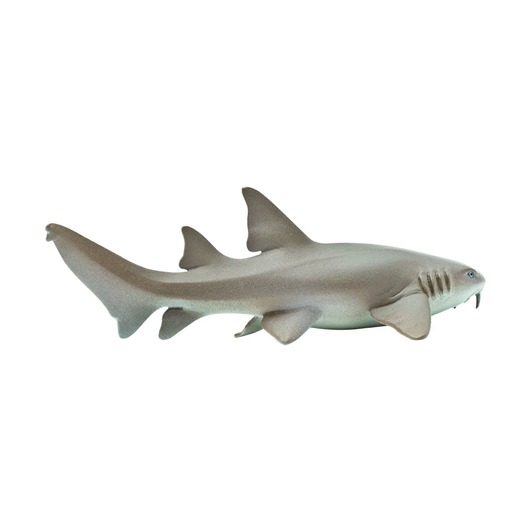 Усатая акула-нянька