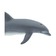 Дельфин Афалина XL