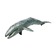 Серый кит XL