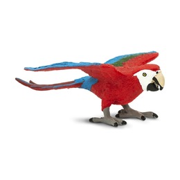 Попугай Зеленокрылый ара