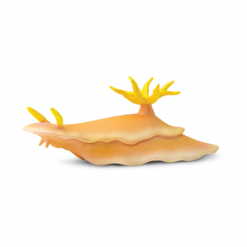 Голожаберный моллюск
