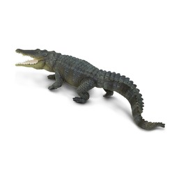 Гребнистый крокодил, XL