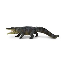 Гребнистый крокодил, XL