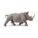 Белый носорог, XL