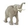 Африканский слон, XL
