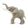 Африканский слон, XL