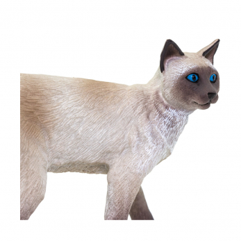 Сиамская кошка