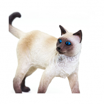 Сиамская кошка