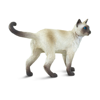 Сиамская кошка