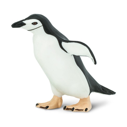 Антарктический пингвин