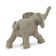 Африканский слон, детеныш