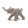 Африканский слон, детеныш