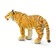 Бенгальский тигр, самка