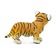 Бенгальский тигр, детеныш