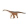 Малавизавр, XL