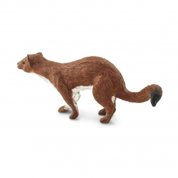 Ласка
