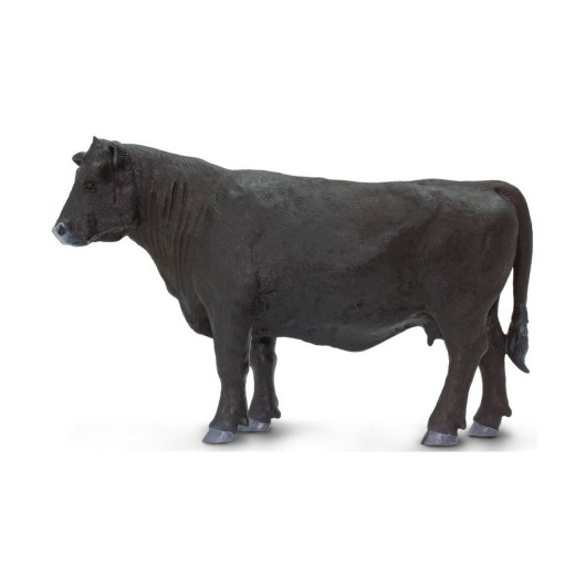 Абердин-ангусская порода коровы